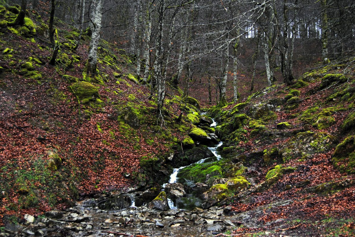 Selva de Irati - Hostal Arostegui